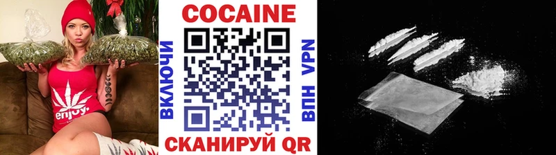 купить закладку  Жердевка  Cocaine Fish Scale 