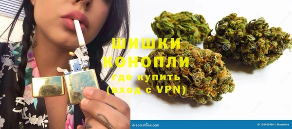 сатива Волосово